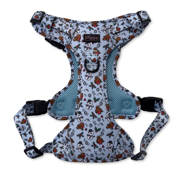 Mr Robin Explorer Dog Harness